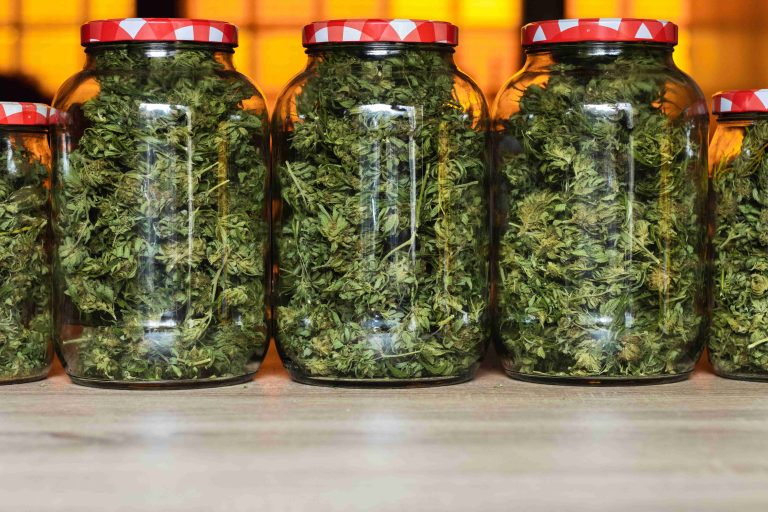 Read more about the article Cannabis Storage Tips for Freshness