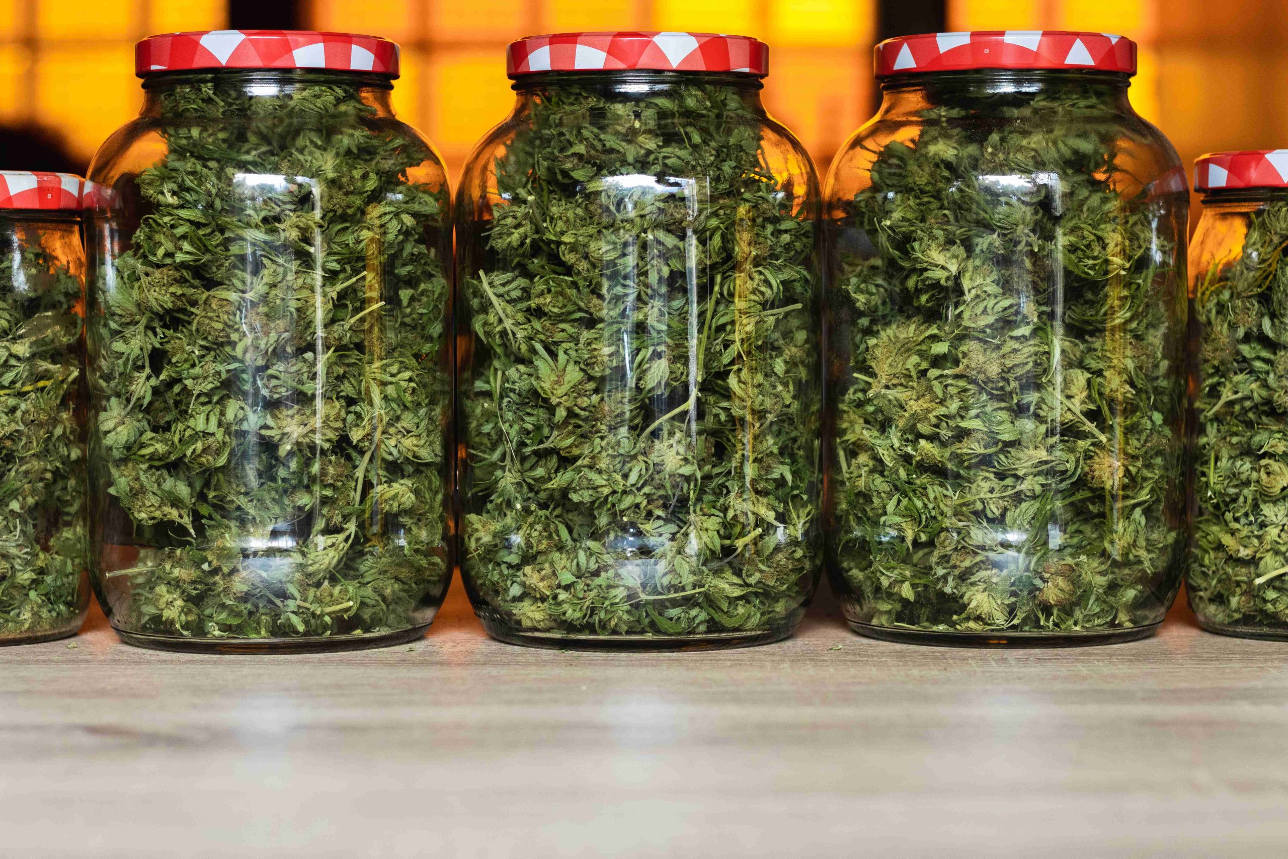 Read more about the article Cannabis Storage Tips for Freshness