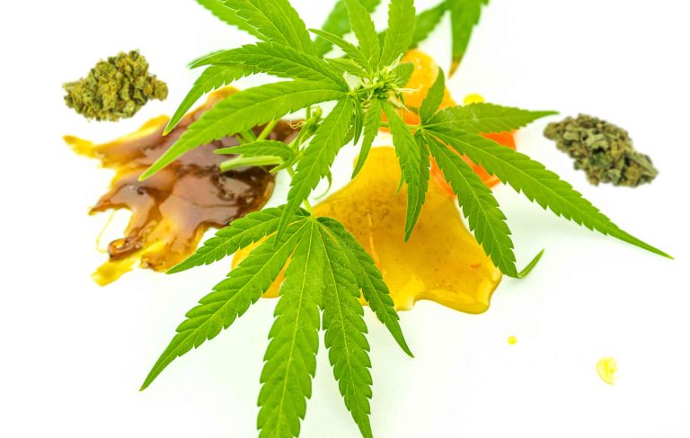 Read more about the article Cannabis Concentrates Guide: A Comprehensive Overview
