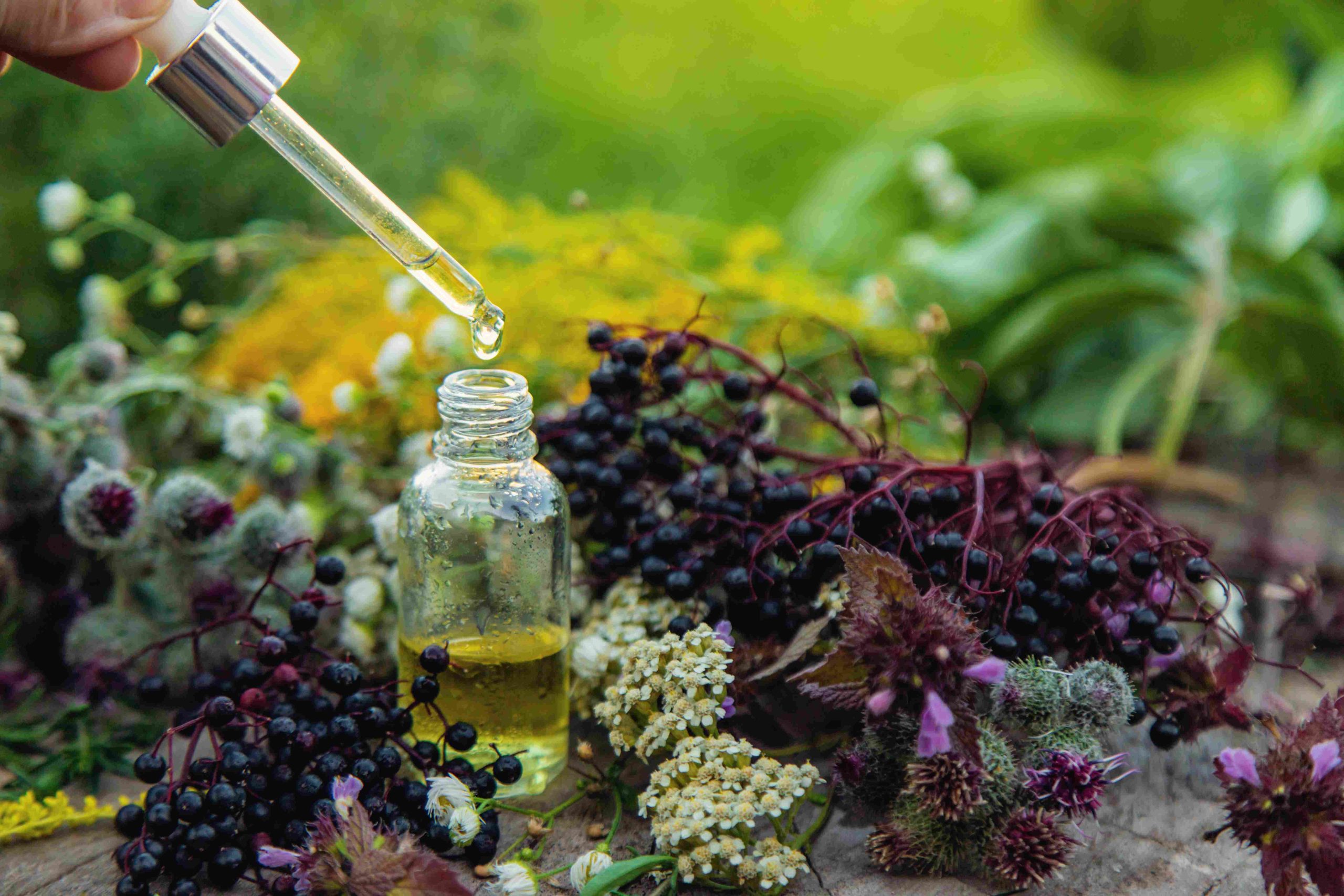 You are currently viewing The Role of Terpenes and Mood
