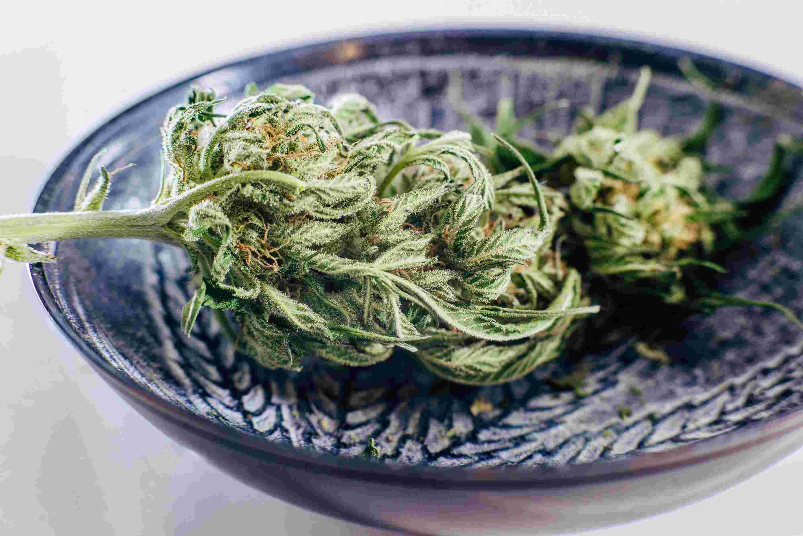 Read more about the article Strains for Creativity: Finding Focus and Inspiration with Cannabis