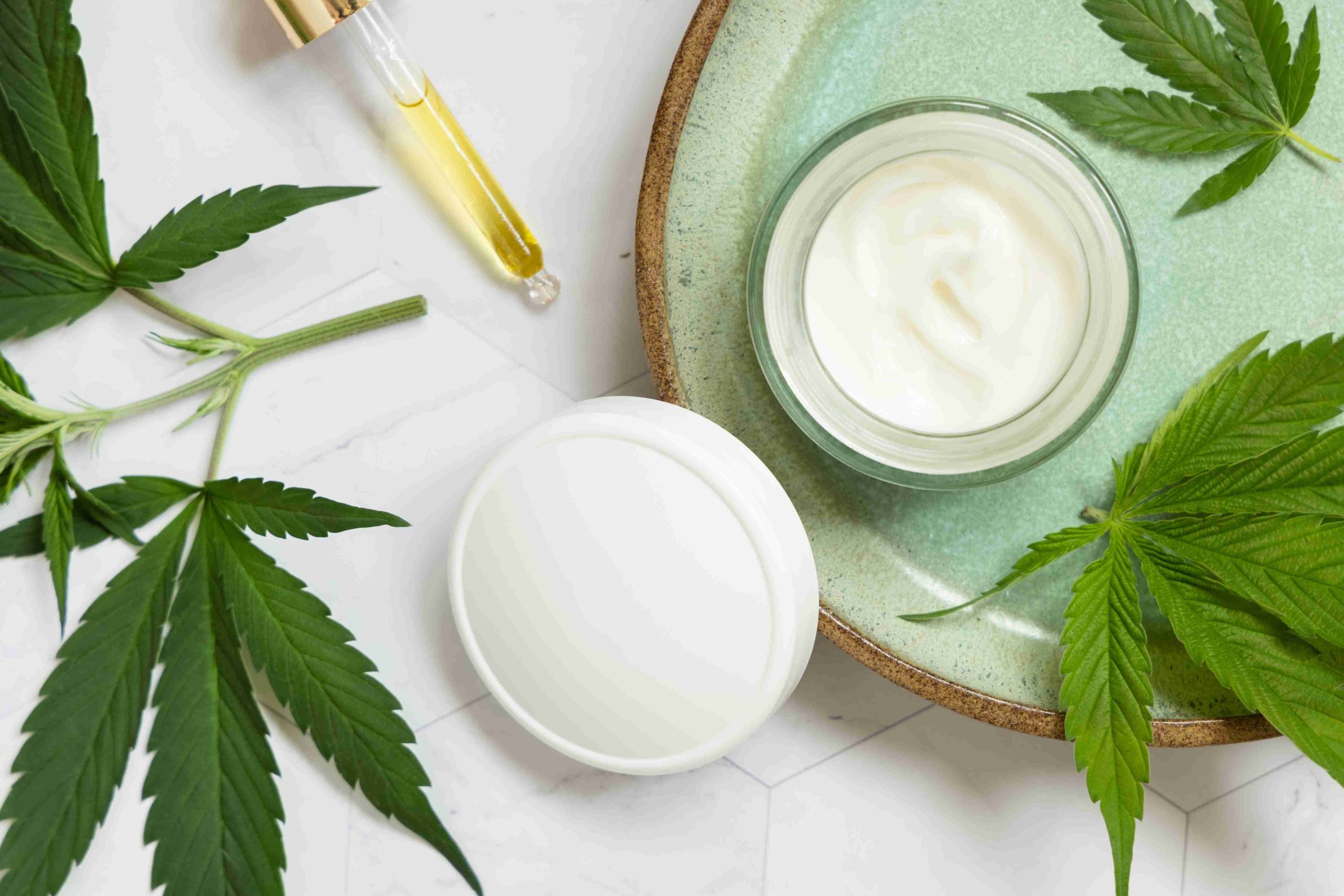 Read more about the article The Endocannabinoid System Explained