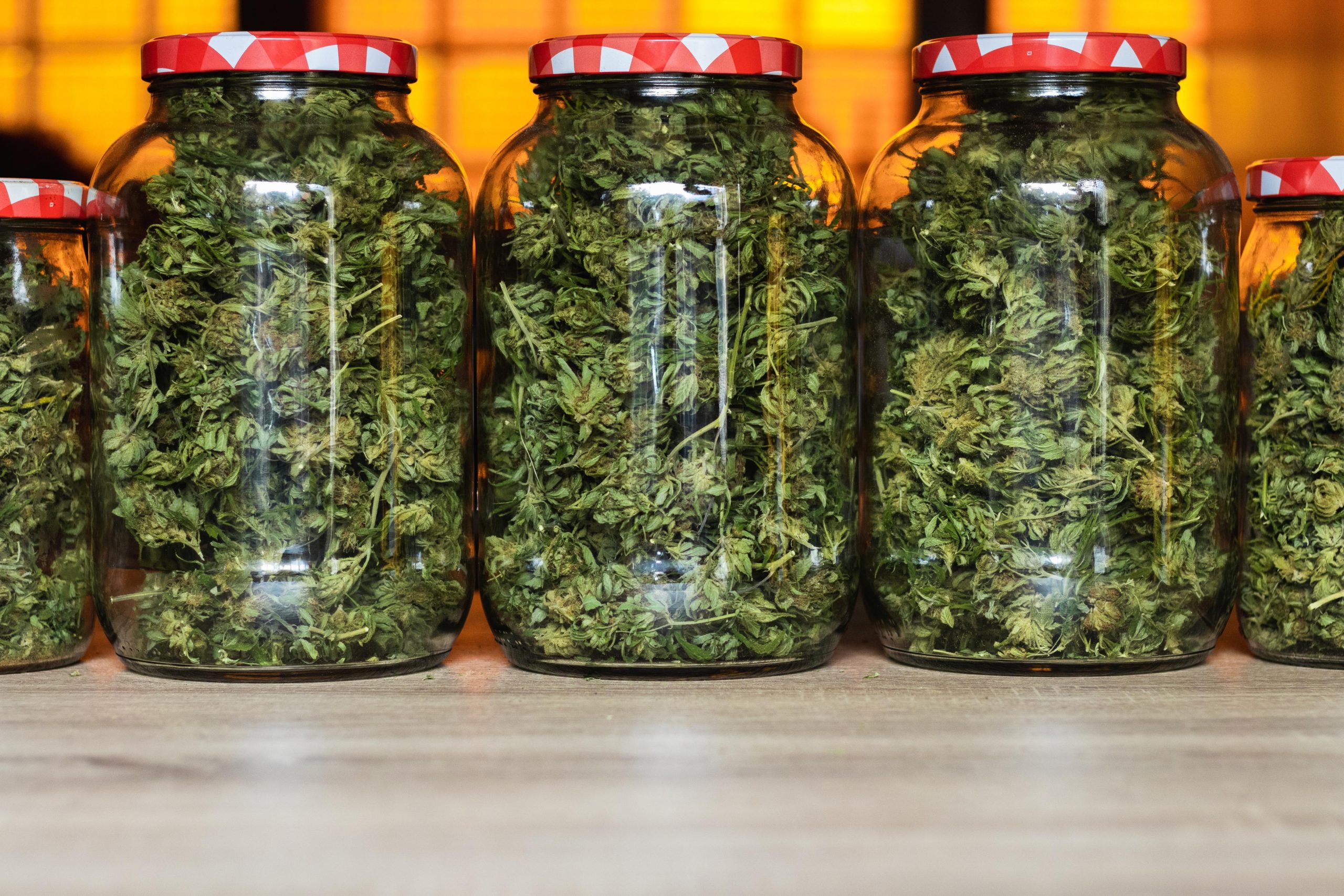 Read more about the article Store Cannabis: Keep Your Flower Fresh and Potent