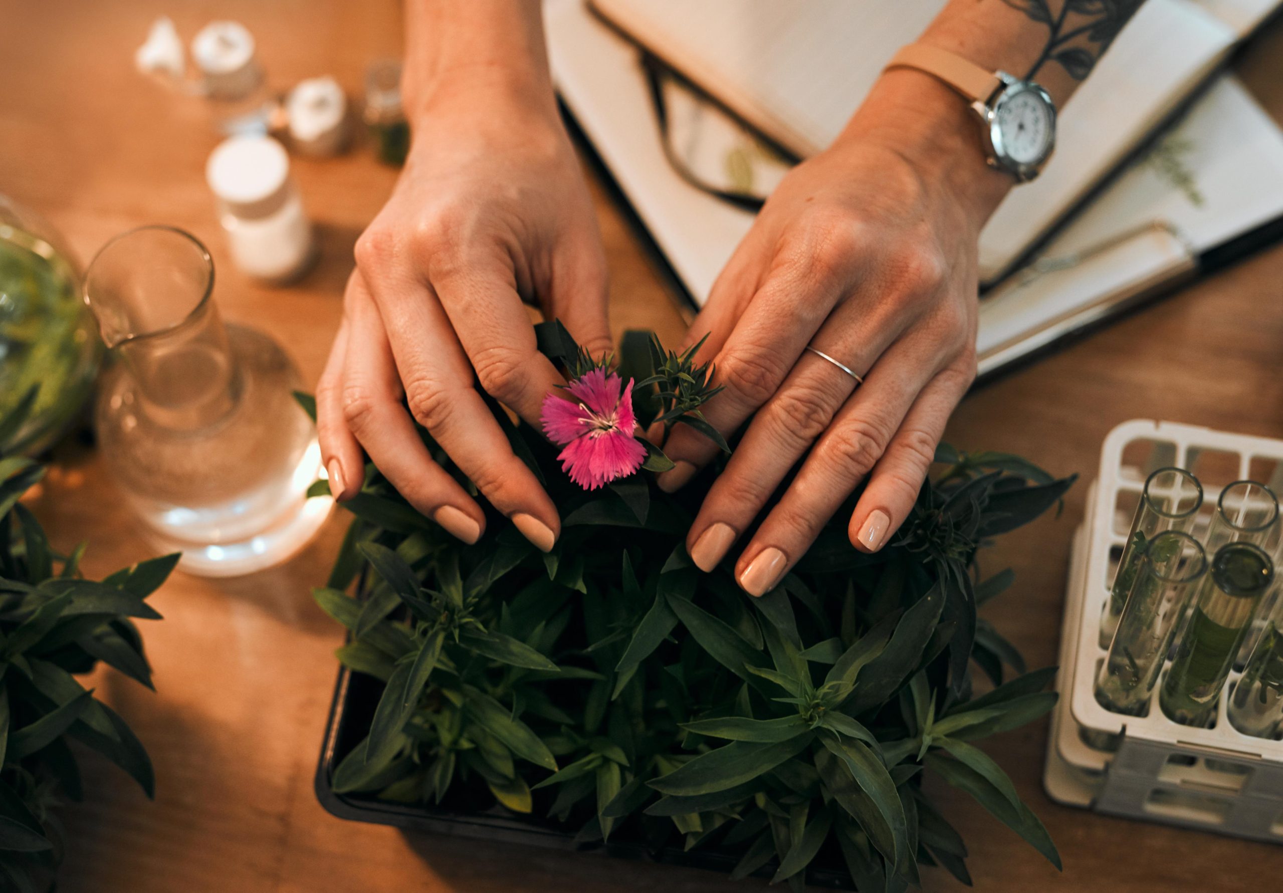 Read more about the article Cannabis Terpenes Explained: How Aroma Shapes Your Experience
