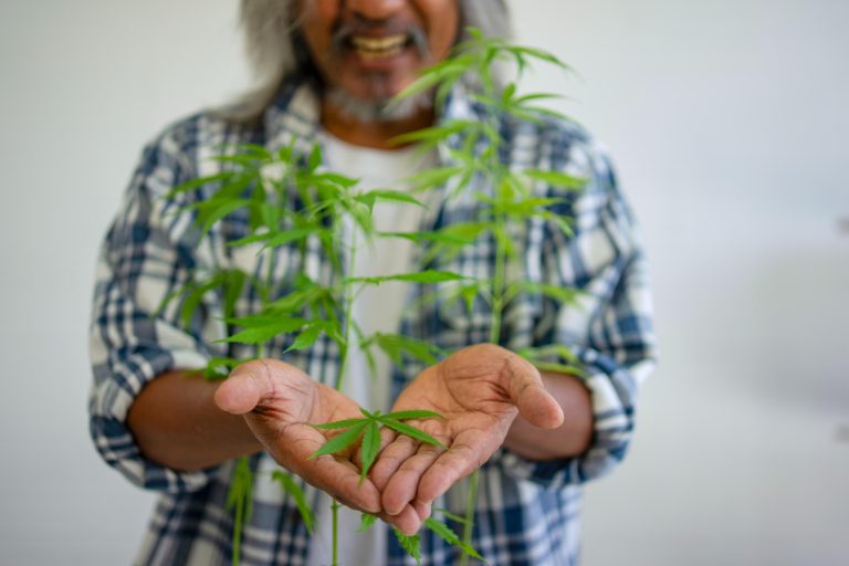 Read more about the article Cannabis Microdosing Benefits: Small Doses, Big Impact