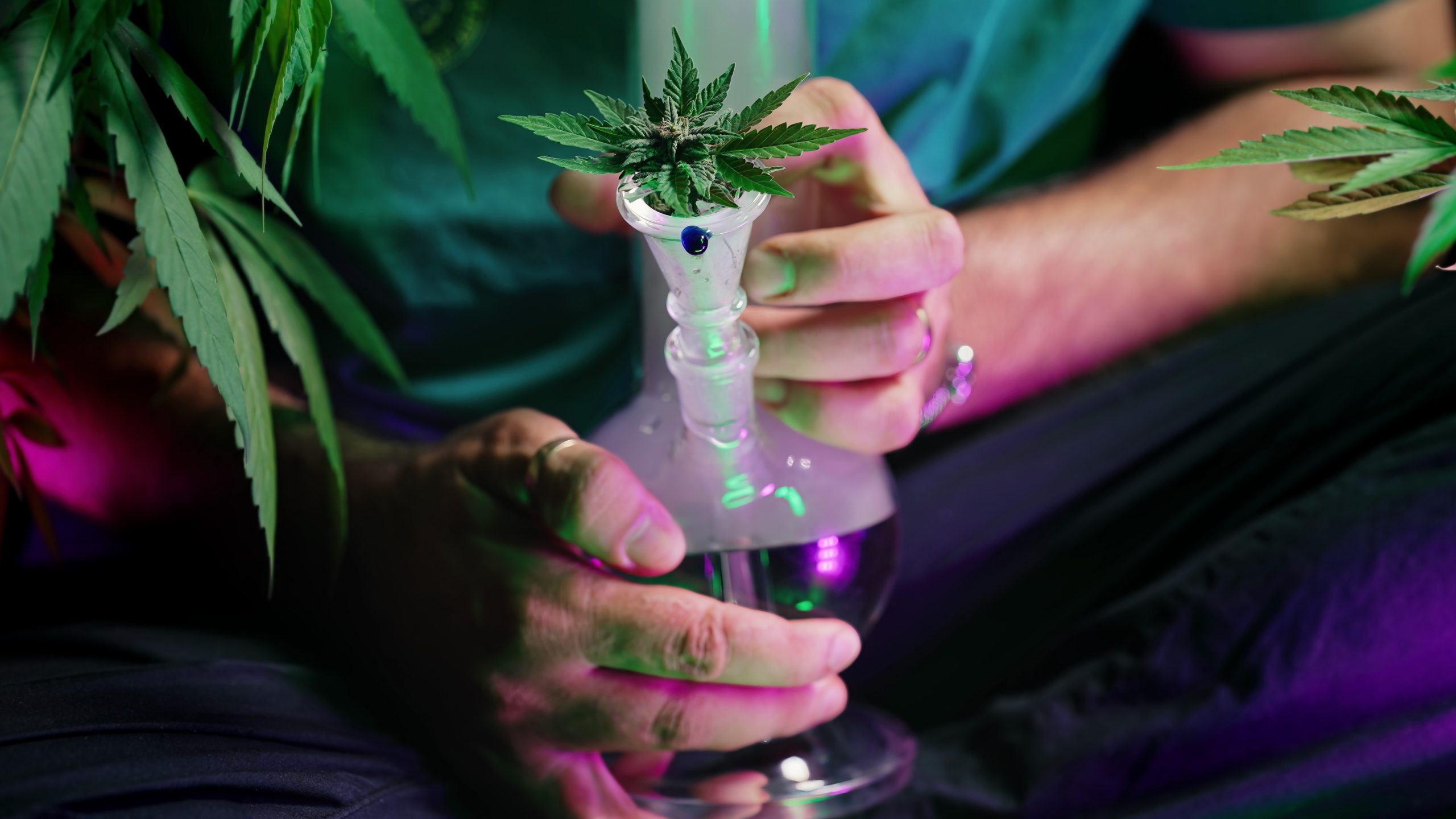 Read more about the article Cannabis Focus Tools: How the Plant Supports Mental Clarity