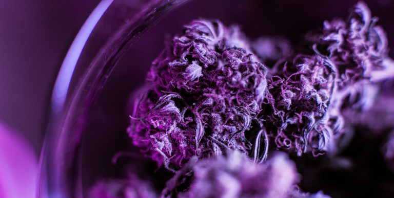 Read more about the article THC vs CBD: Understanding the Key Differences