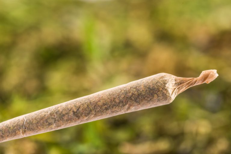 Read more about the article Pre Roll Quality Guide for Better Cannabis