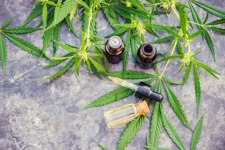 Read more about the article High CBD Flower Benefits and Effects Guide