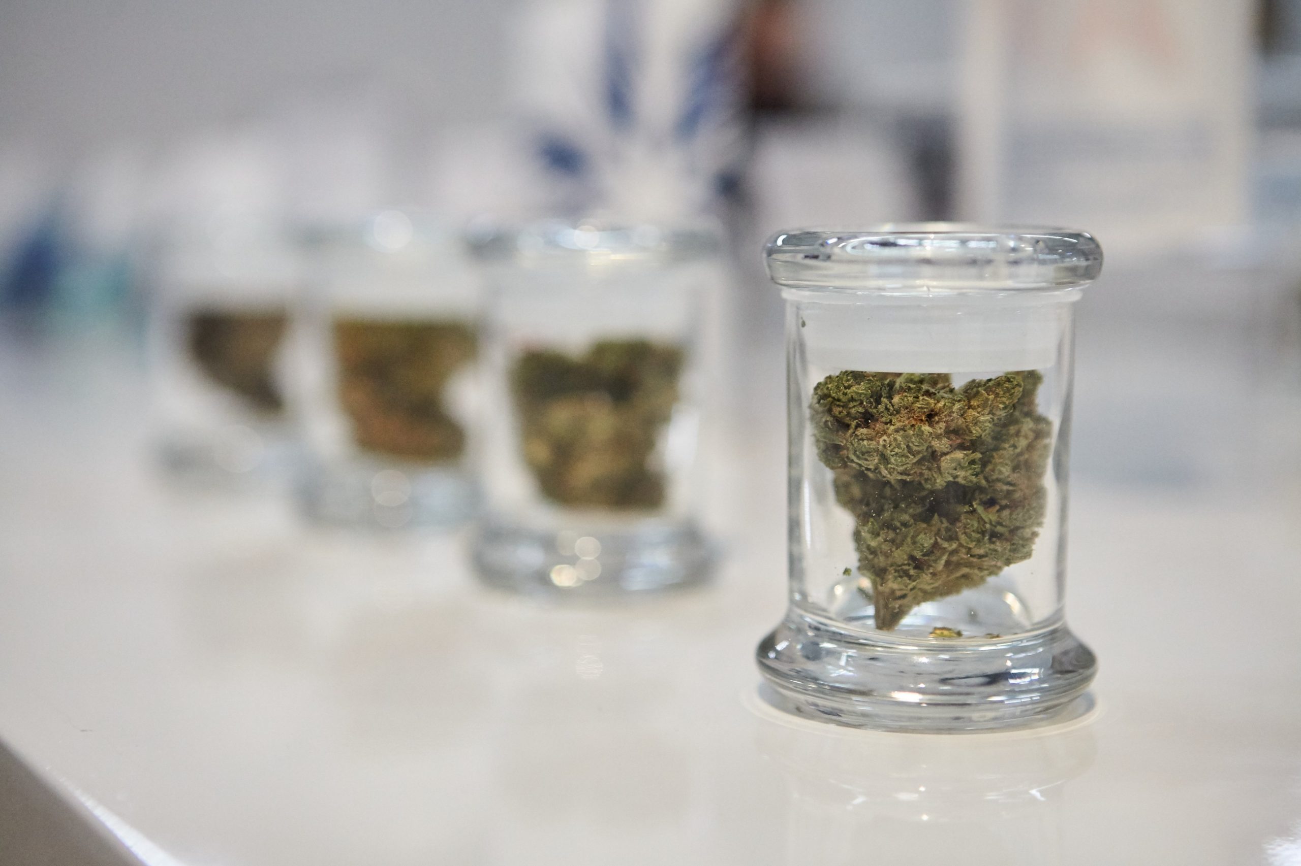 Read more about the article Cannabis Shopping Guide for First-Time Dispensary Visitors