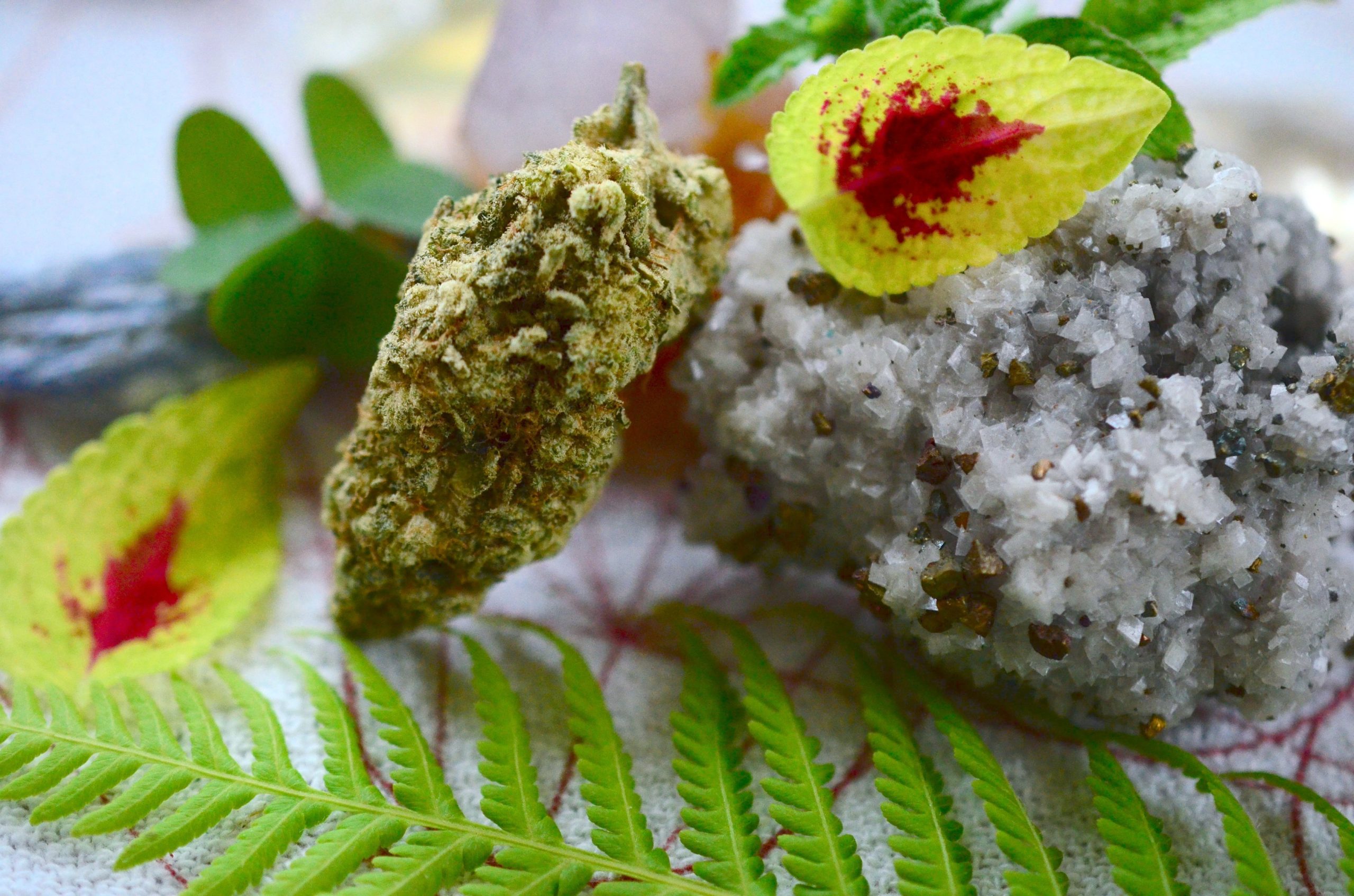 Read more about the article Cannabis Terpene Myrcene and Its Potential Effects