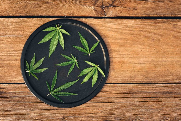 Read more about the article Cannabis Product Labels Explained for Consumers