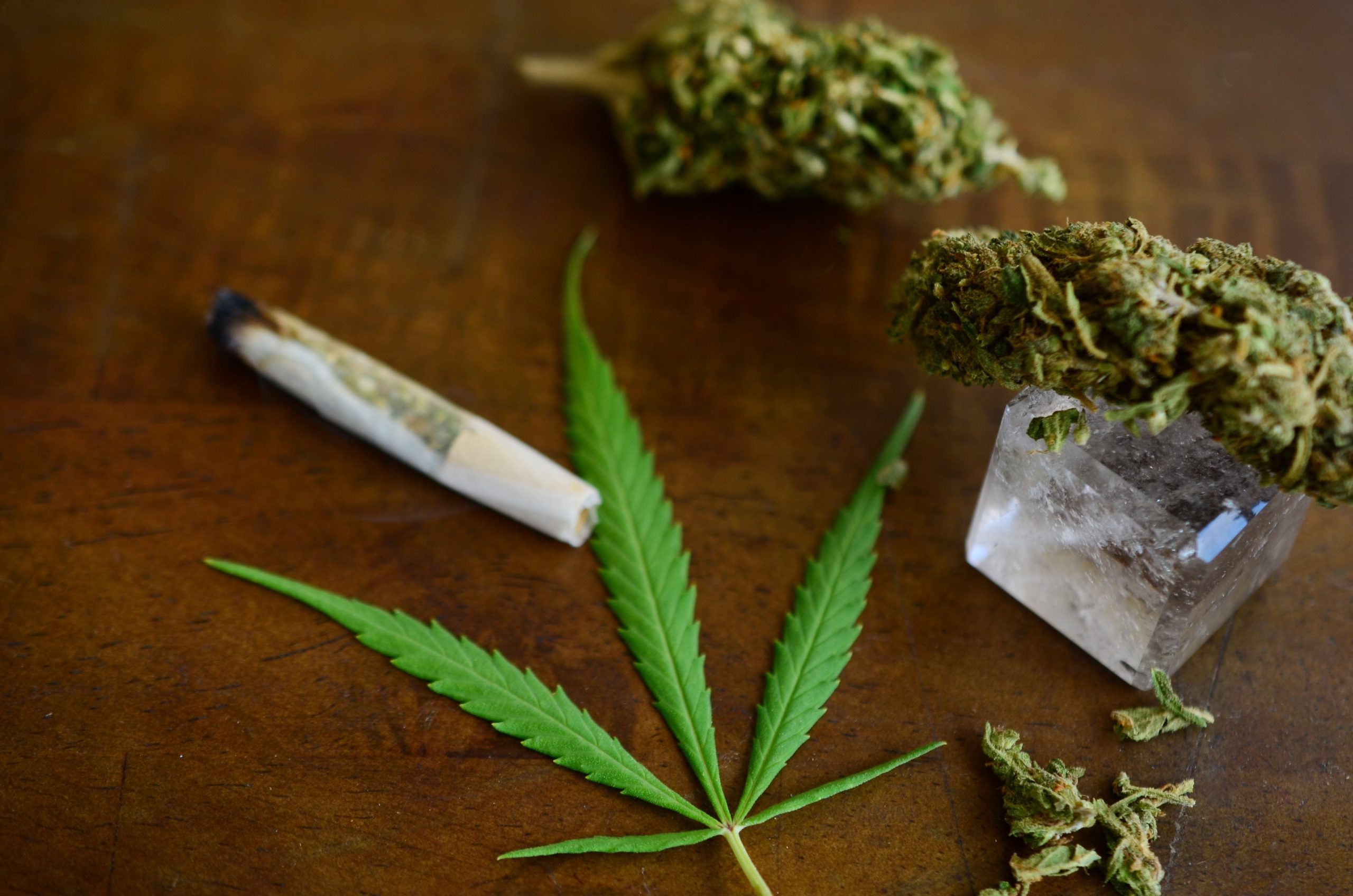 Read more about the article Full Spectrum Cannabis Benefits Explained